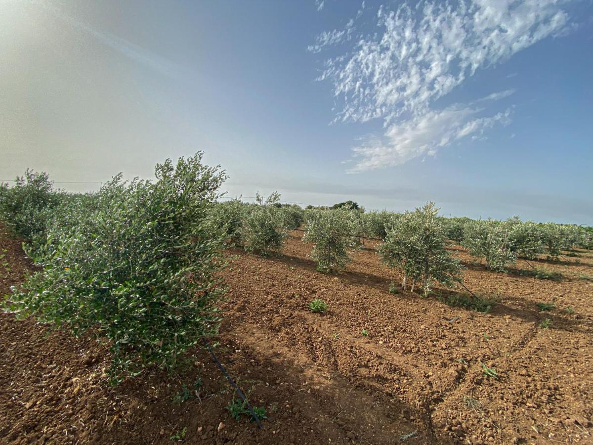 Podere Carafa Villa Nardò Eksteriør billede